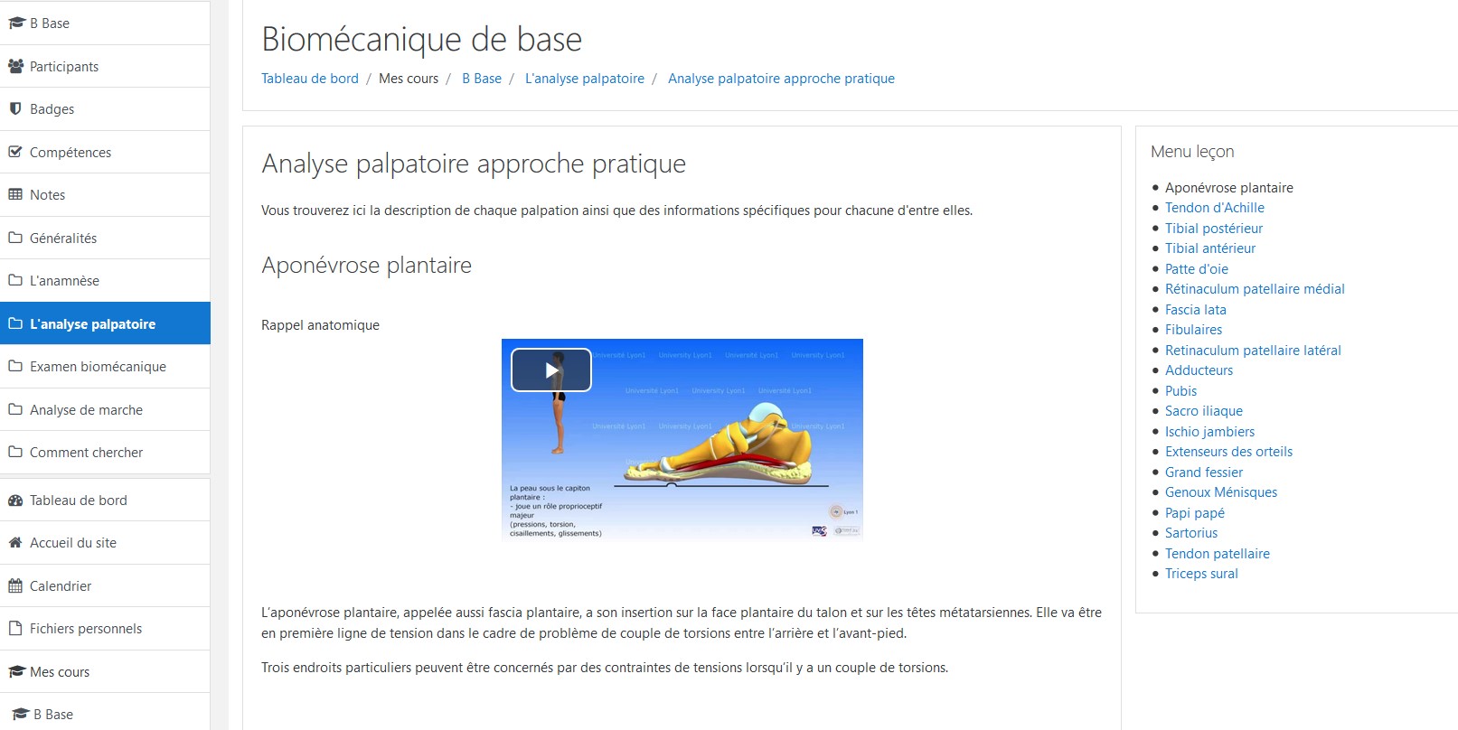 Vinaora Nivo Slider 3.x