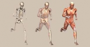 Vinaora Nivo Slider 3.x