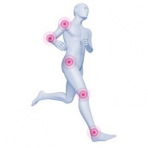 Vinaora Nivo Slider 3.x