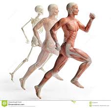 Vinaora Nivo Slider 3.x