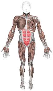 Vinaora Nivo Slider 3.x