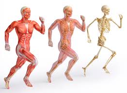 Vinaora Nivo Slider 3.x